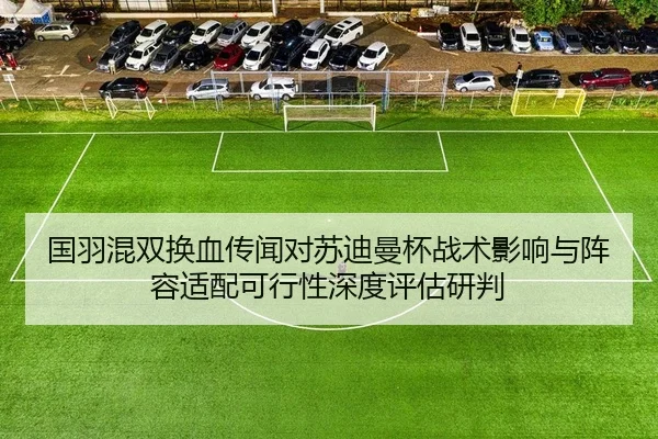 国羽混双换血传闻对苏迪曼杯战术影响与阵容适配可行性深度评估研判